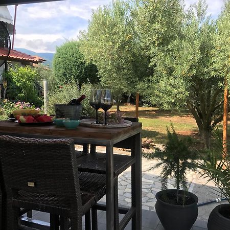 אספרובלטה Terra Holiday Homes מראה חיצוני תמונה